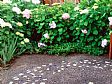 Punica Landscape - Gardening Design