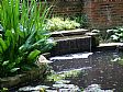 Punica Landscape - Gardening Design