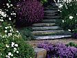Punica Landscape - Gardening Design