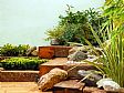 Punica Landscape - Garden Designs